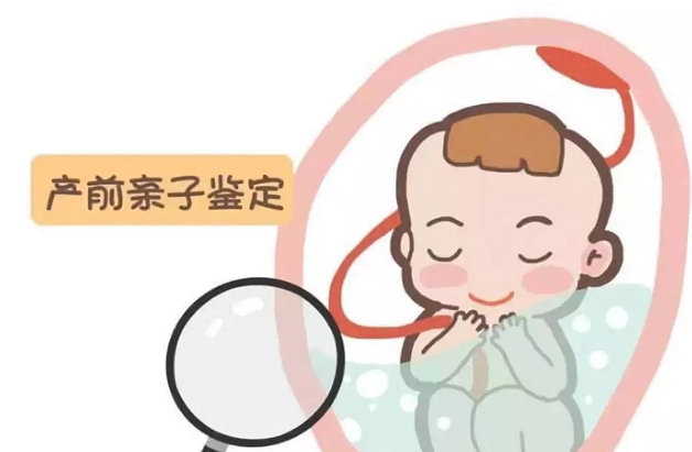 成都孕期亲子鉴定详细流程及材料,成都孕期亲子鉴定中心地址在哪里