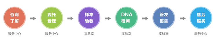 隐私亲子鉴定